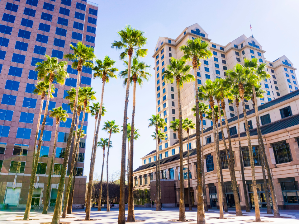 Urban plaza with tall palm trees and modern high-rises under a clear blue sky, featured in an article on Silicon Valley rentals.