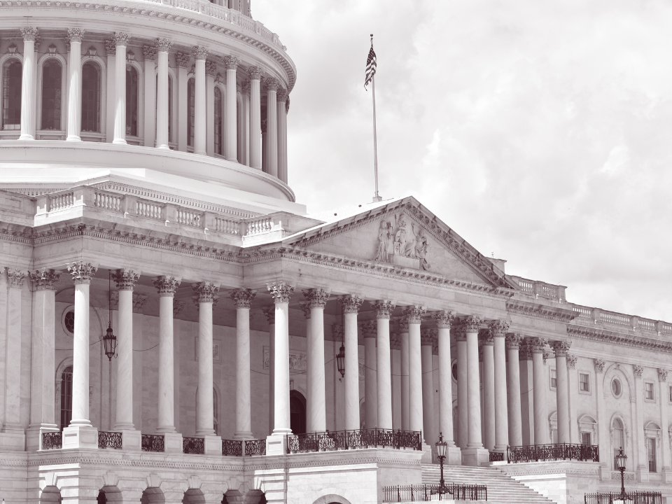 Sepia image of the US Capitol's dome and columns with an American flag, for a real estate site article on Project 2025's impact.