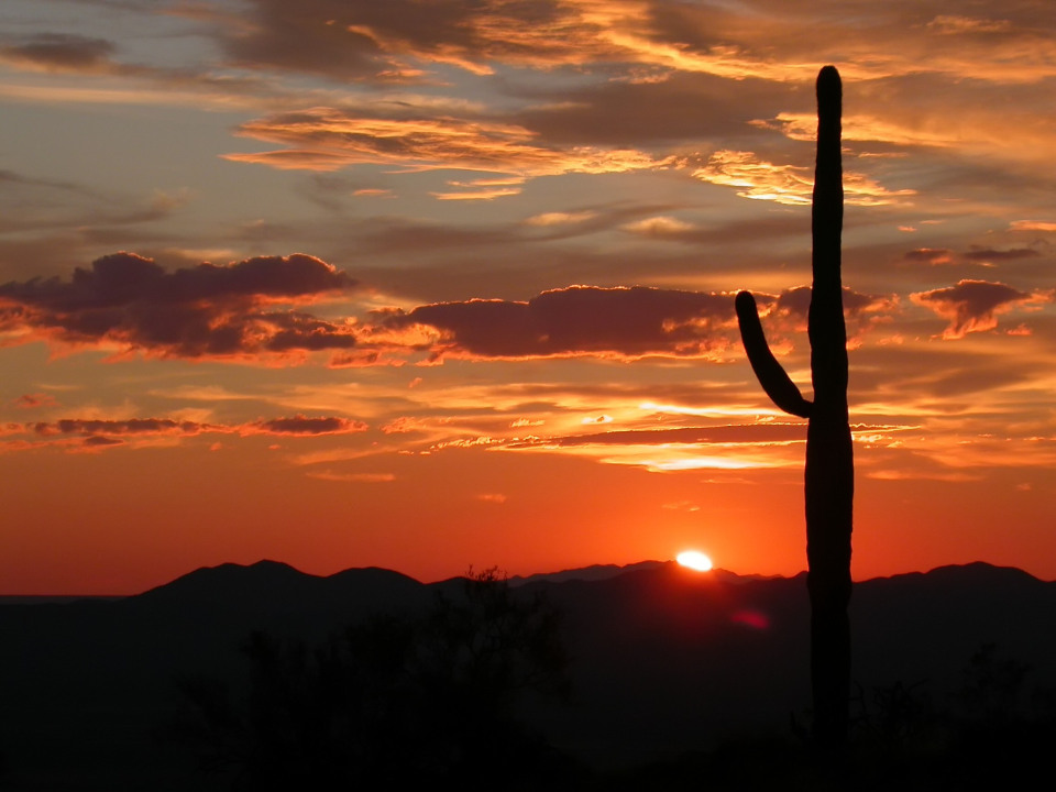 Silhouette of saguaro cactus at sunset with orange/pink sky and clouds, sun setting behind mountains for a real estate article.