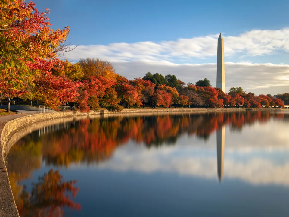 Rental Report: DC Tops Rankings as Southern Cities Dominate