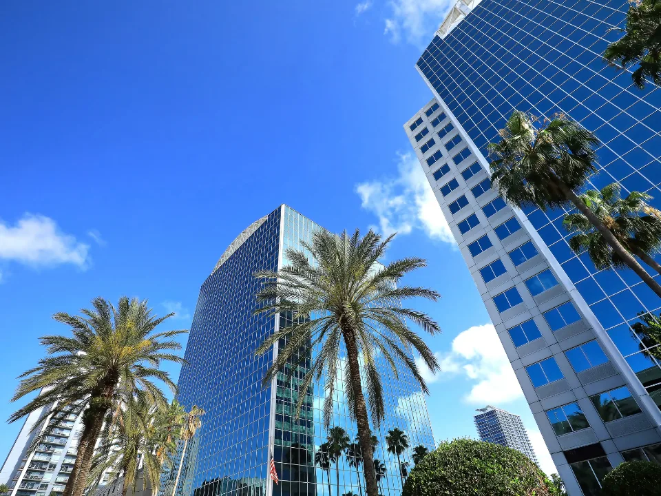 Florida Enjoys Strong Job Growth, High Apartment Supply