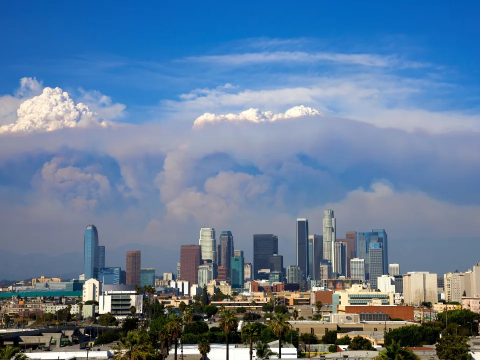 FEMA housing decision leaves LA wildfire survivors struggling to find rentals despite claims of available units after January’s fires.