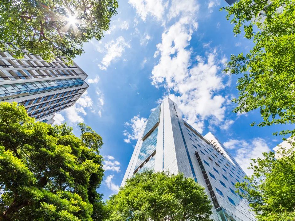 Green offices are transforming US real estate as cities like DC and San Francisco lead in sustainable office development.