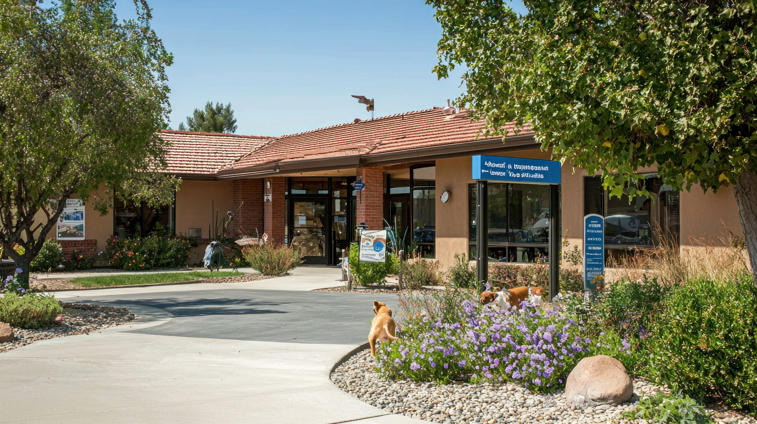 Veterinary real estate demand rises as high-end clinics replace shuttered retail spaces across the US amid a growing pet care market.