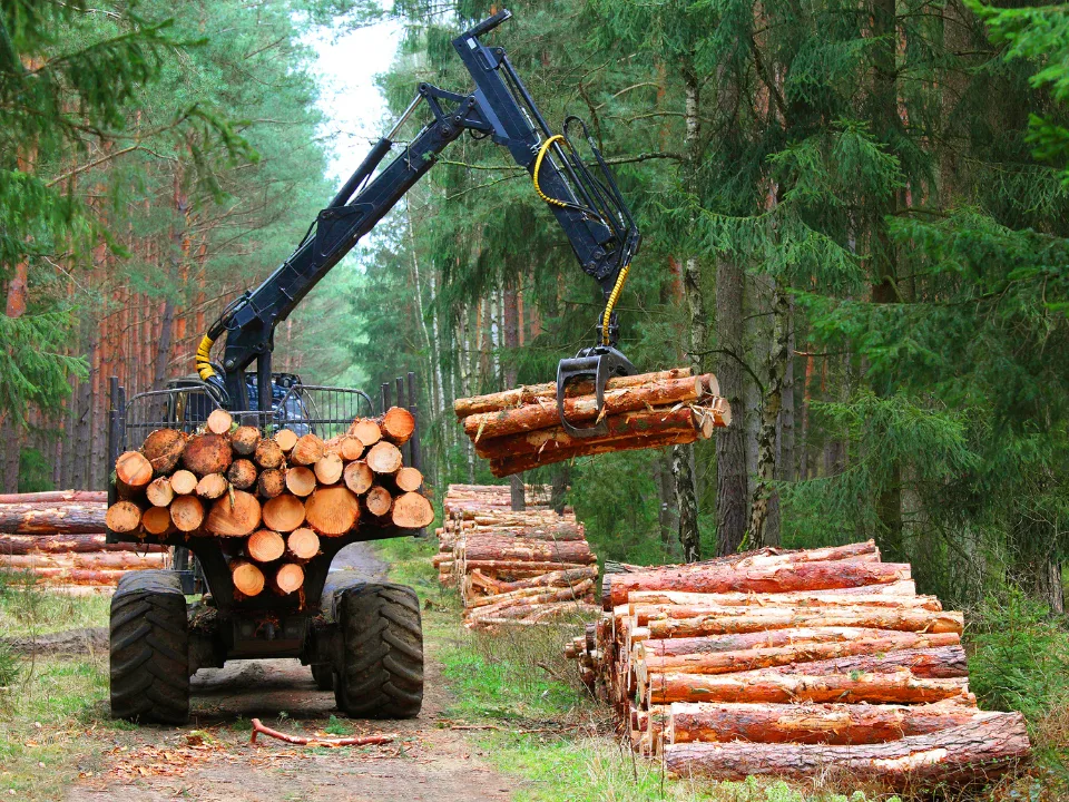 Rayonier and PotlatchDeltic are joining forces in a $7.1B merger, forming the second-largest private timberland owner in the US.