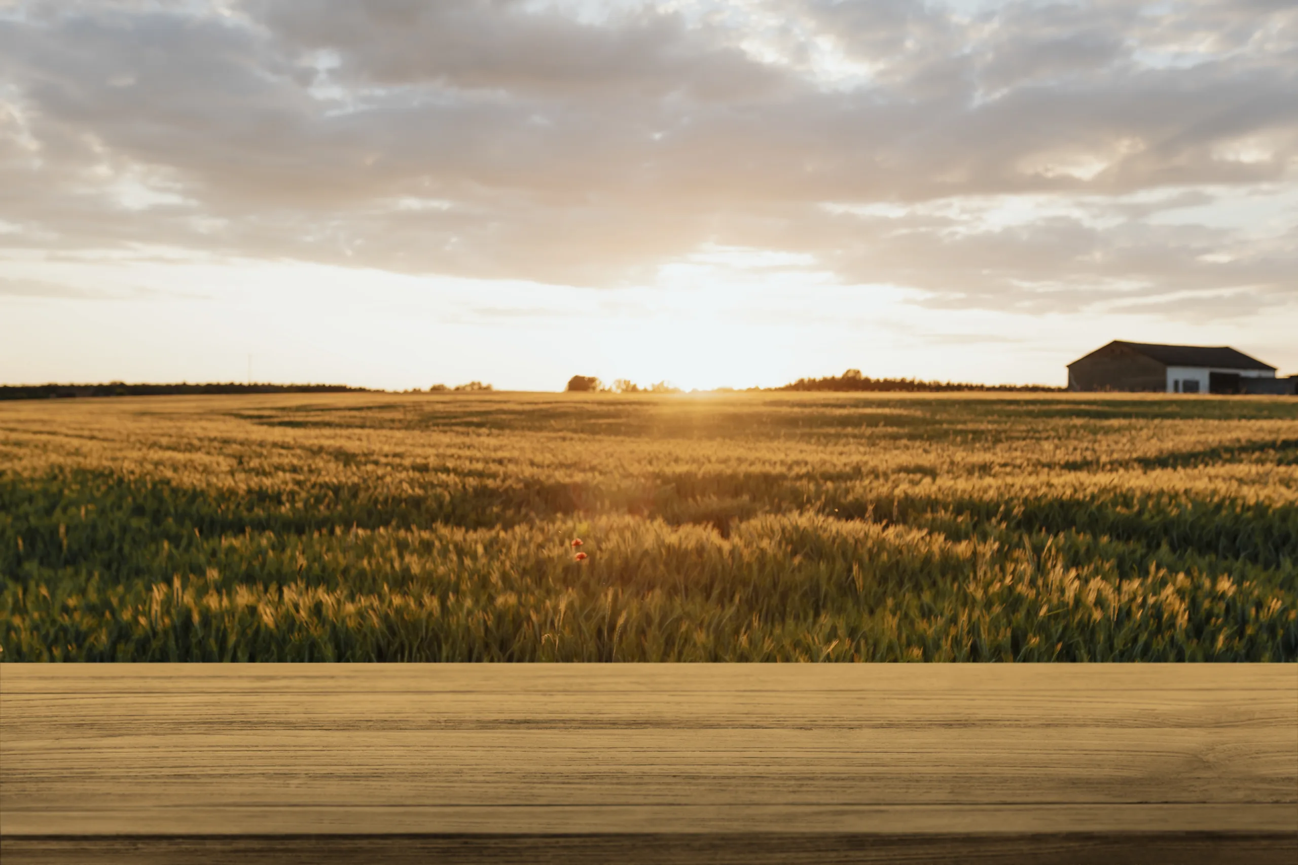 Fauquier farmer Daron Culbertson sells family land for a data center as rural economics push legacy farms toward development.