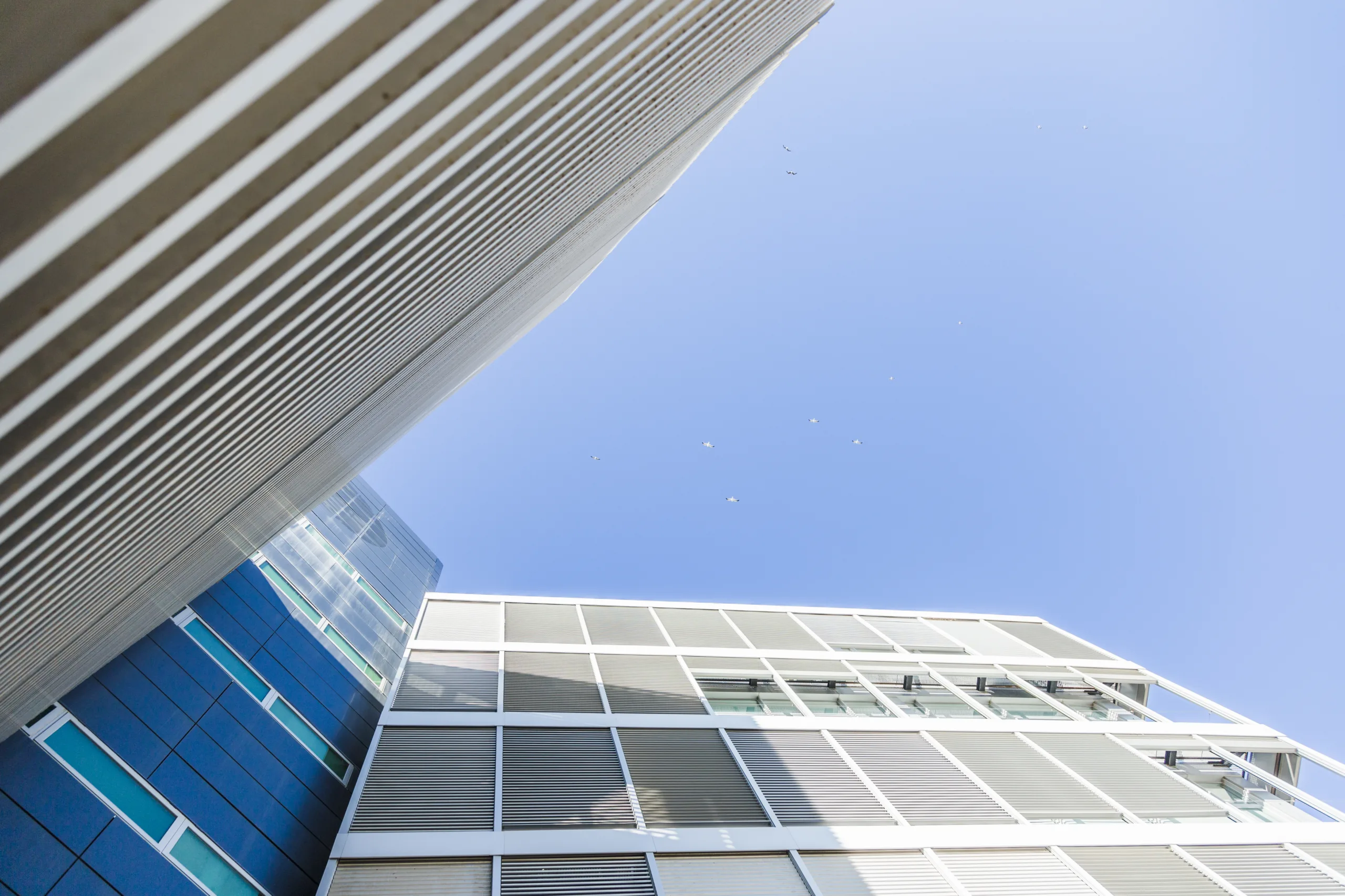 Alexandria's dividend cut signals deeper trouble in the life sciences market as shares drop and losses widen.