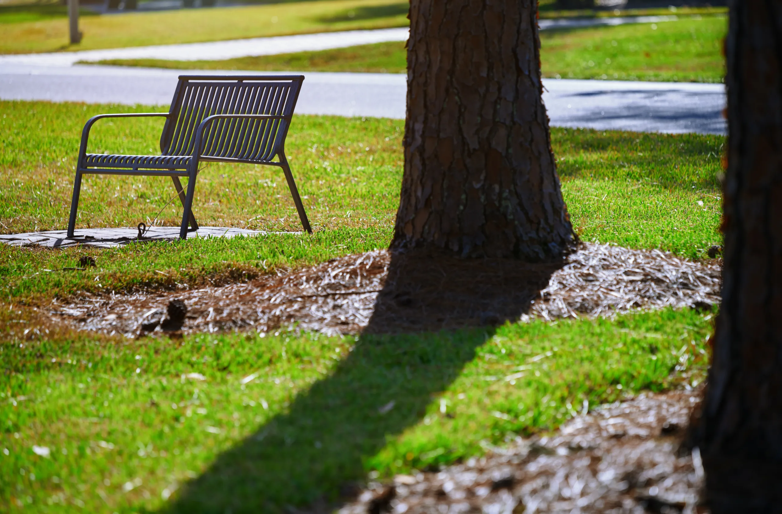 Discover the top retirement cities in 2026 offering the best mix of healthcare, affordability, and lifestyle for the aging US population.