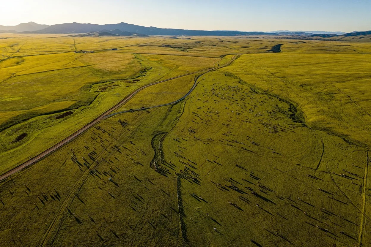 Land ownership milestone reached as Stan Kroenke becomes America’s largest landowner after acquiring 937,000-acre Singleton Ranches.