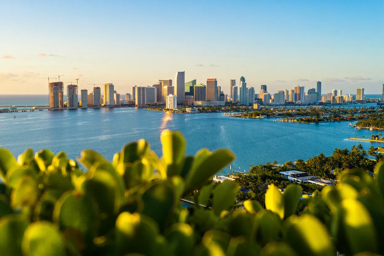 South Florida office relocations surge as corporate HQs and billionaires move to Miami for tax benefits and luxury real estate.