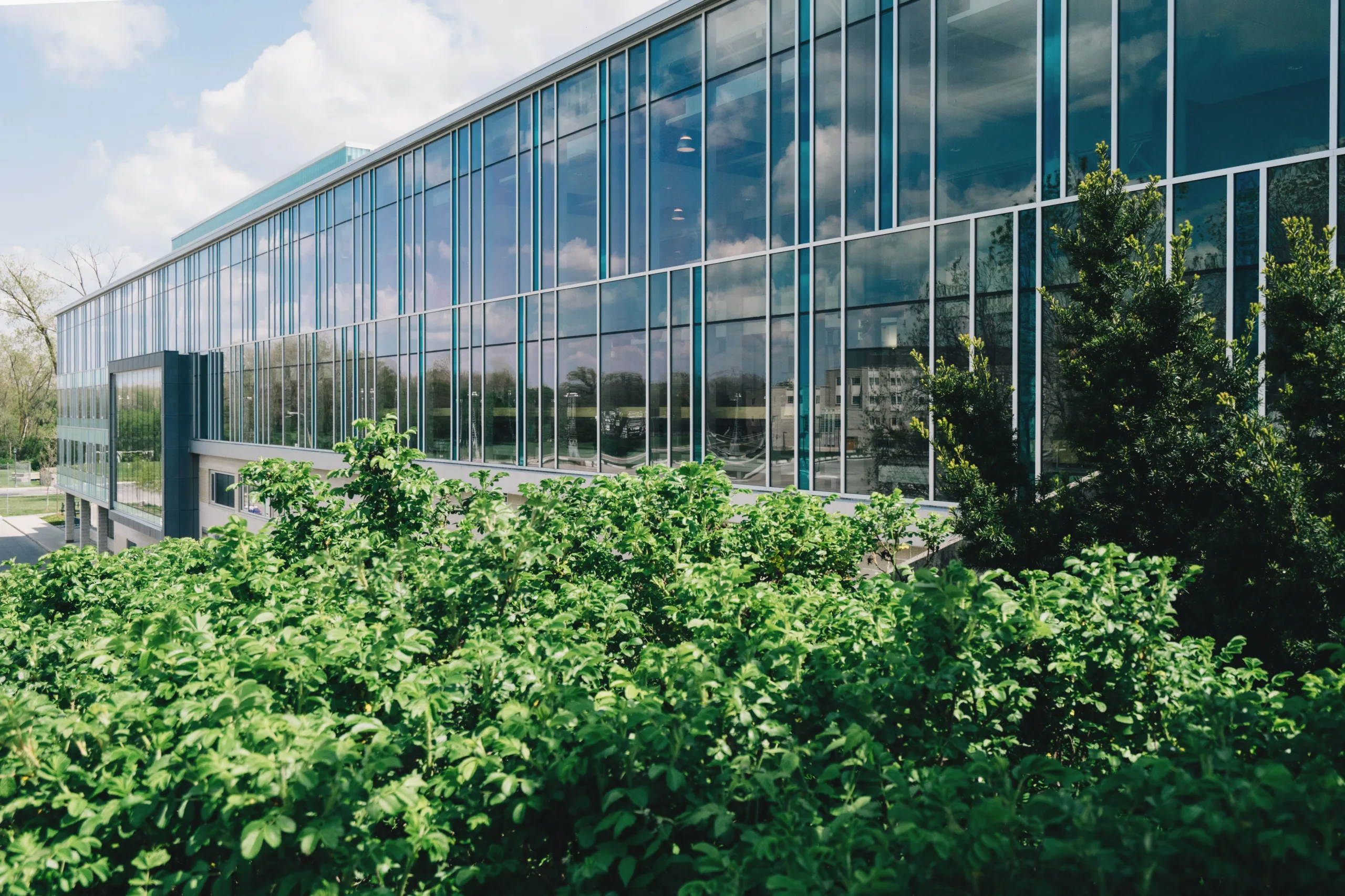 Nvidia’s earnings show AI data center demand surging as neocloud operators gain share alongside hyperscalers.