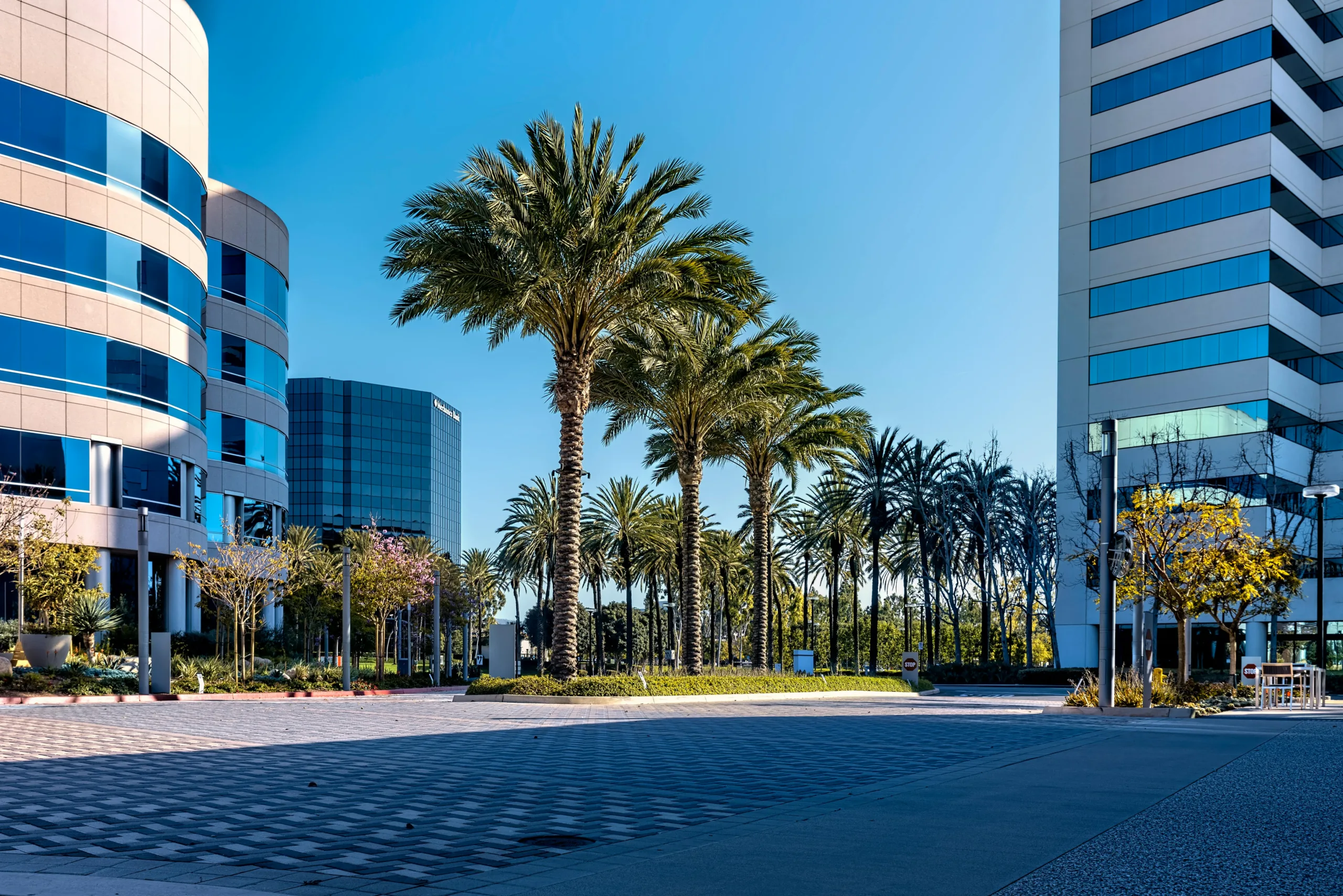 Google’s Meadow Point campus in San Jose adds nearly 800K SF as the tech giant doubles down on premium Silicon Valley office space.