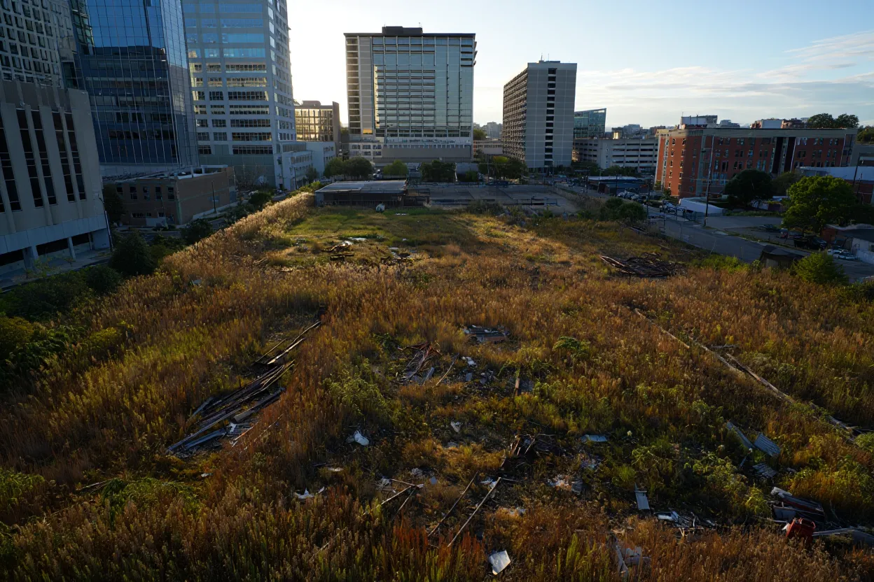 Investors claim Webstar misled them into funding the $3.8B Forge Atlanta project after promised shares never arrived.